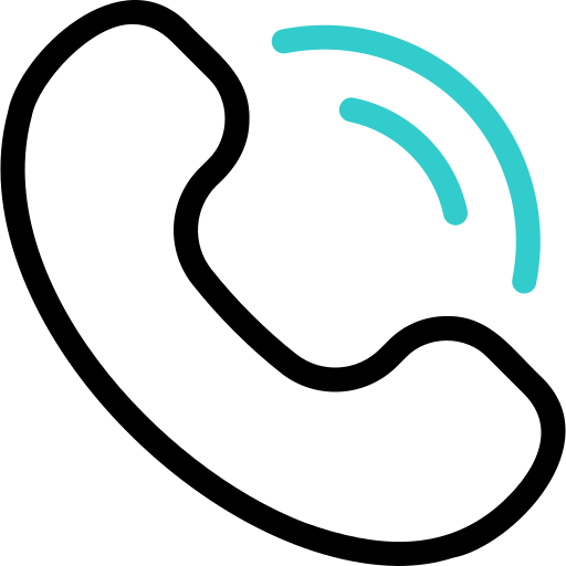 Professional service