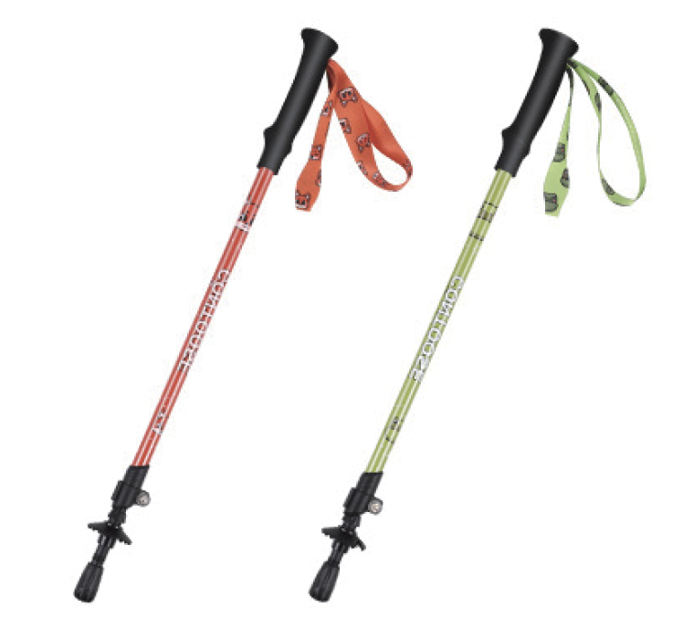 Children trekking pole
