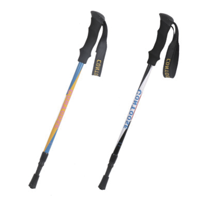 Children trekking pole
