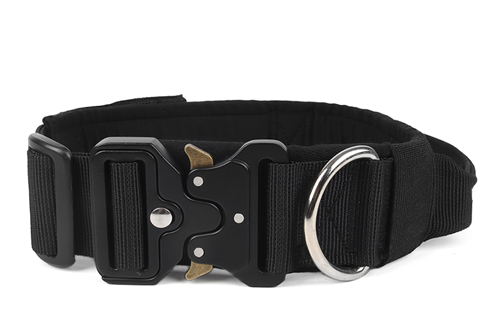 Pet collar